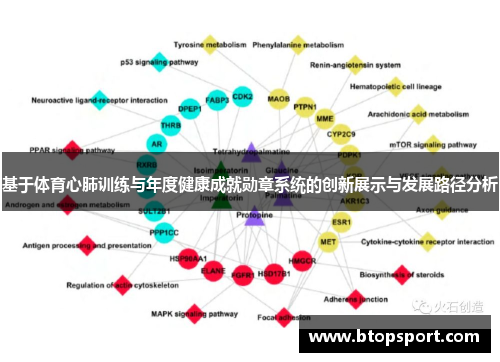 基于体育心肺训练与年度健康成就勋章系统的创新展示与发展路径分析