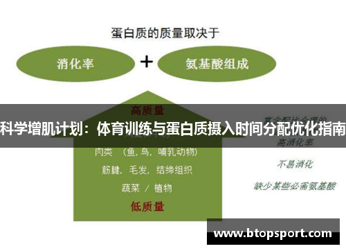 科学增肌计划：体育训练与蛋白质摄入时间分配优化指南