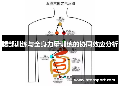 腹部训练与全身力量训练的协同效应分析